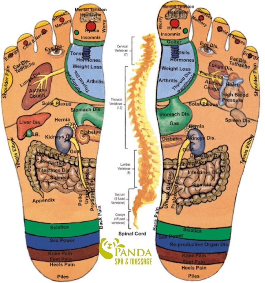 Acupuncture points in the feet