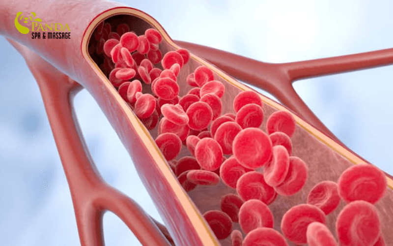 Improved Blood Circulation and Toxin Elimination