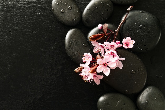 Free photo beautiful pink spa flowers on spa hot stones on water wet background. side composition. copy space. spa concept. dark background.