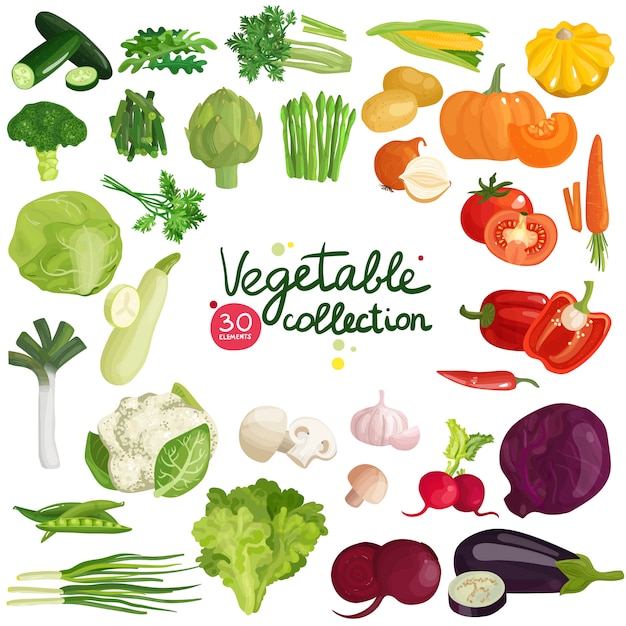Free vector vegetables and herbs collection