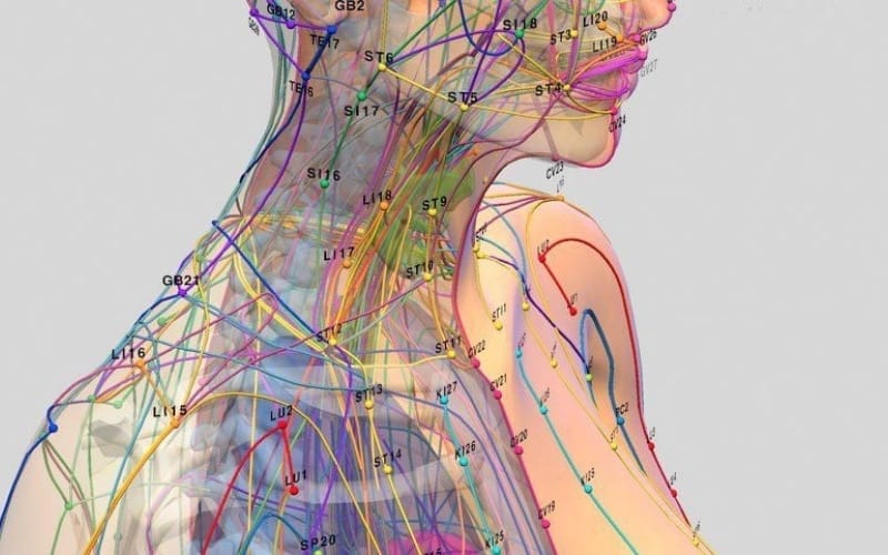 neck shoulder nape therapy