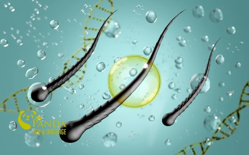 What are the benefits of scalp massage