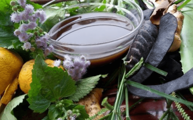 nguyên liệu gội đầu dưỡng sinh