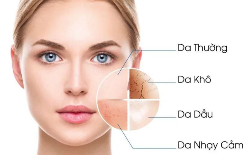 学生常见的皮肤类型