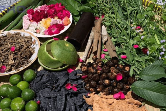 (English) Herbal Hair Wash: The Secret to Natural Hair Care from Medicinal Herbs