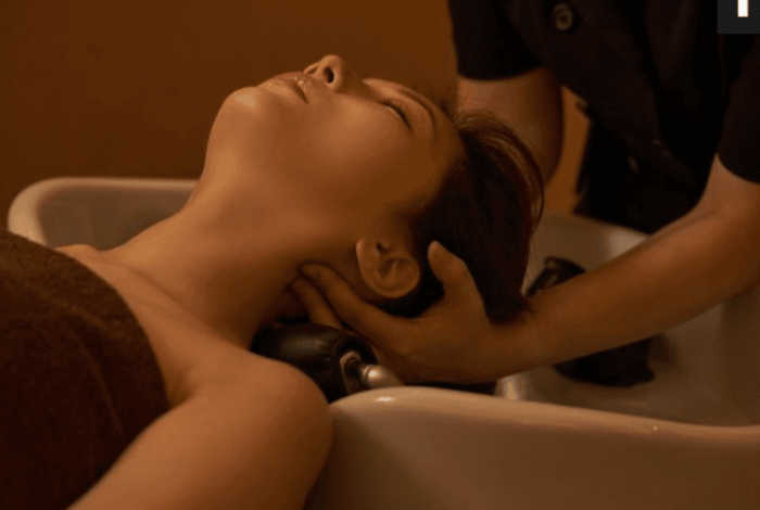 (English) Self Herbal Hair Wash at Home: A Detailed Guide for Beginners