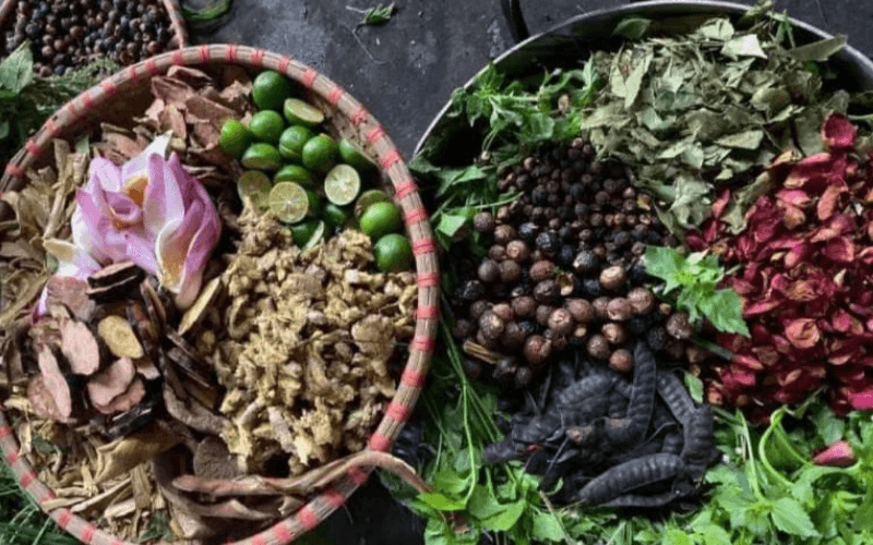 gội đầu dưỡng sinh tim mạch