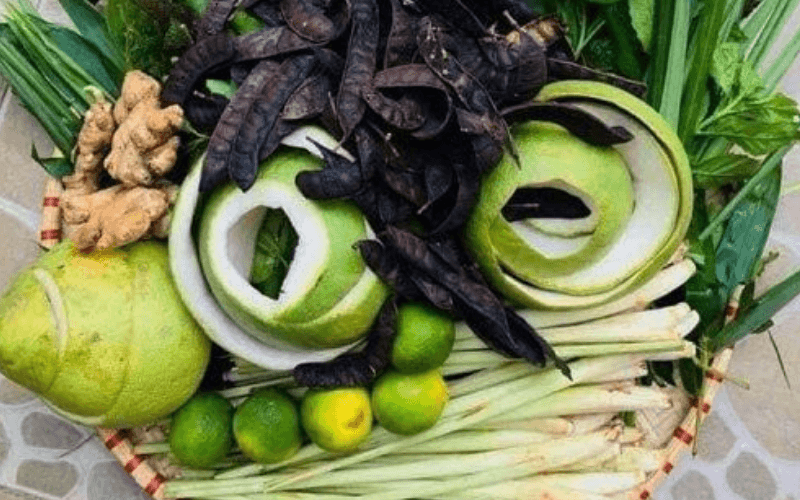 tự gội đầu dưỡng sinh tại nhà