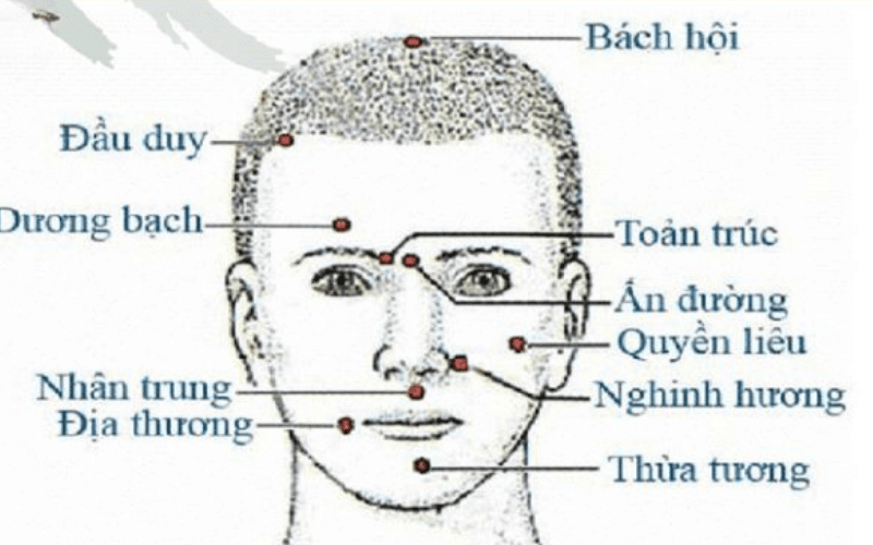 massage bấm huyệt