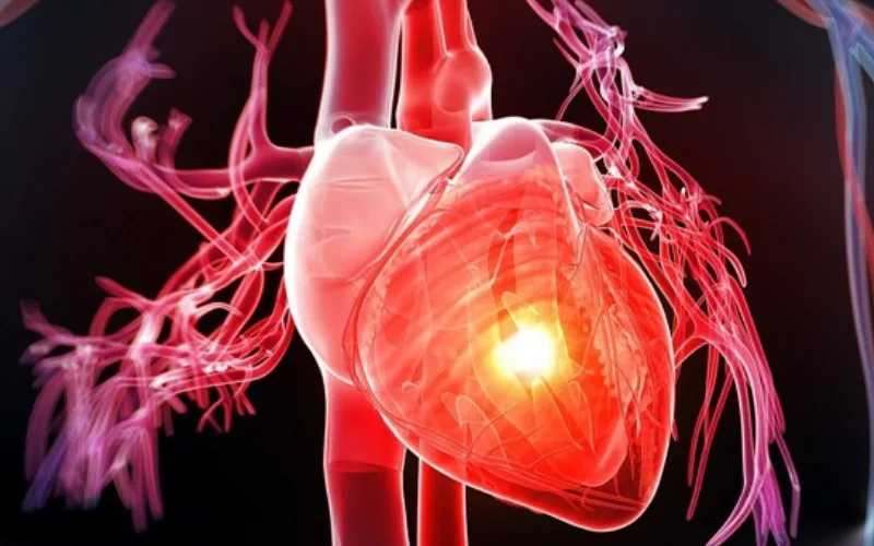 các loại huyệt đạo quan trọng