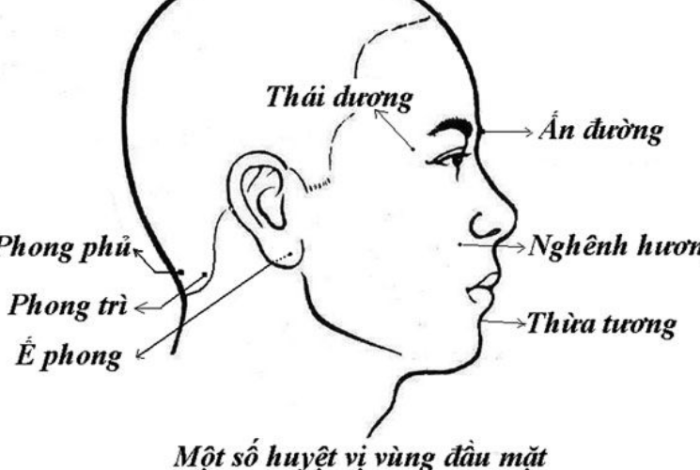 Important Acupressure Points: A Comprehensive Guide for Better Health