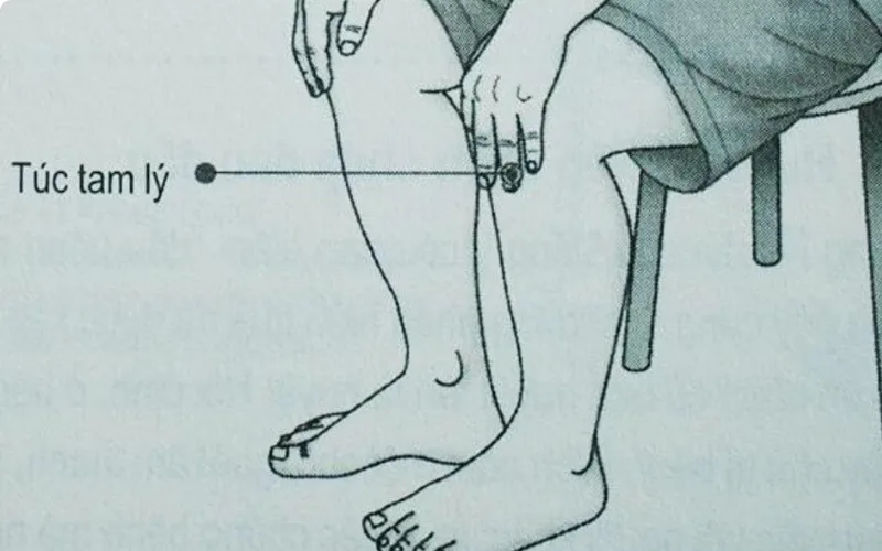 các loại huyệt đạo quan trọng