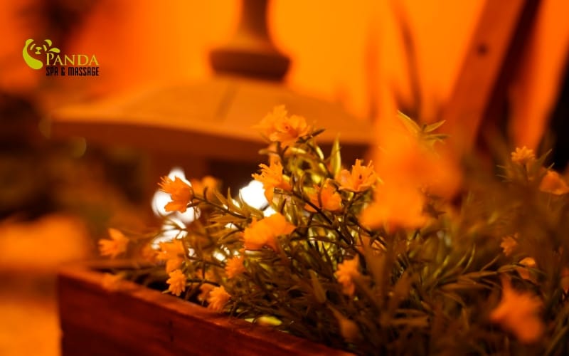 Ảnh spa