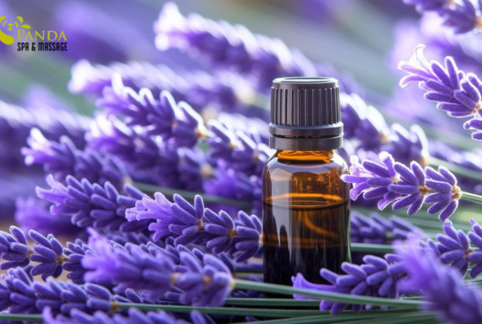 (Tiếng Việt) Dầu Massage Body Cao Cấp 2025