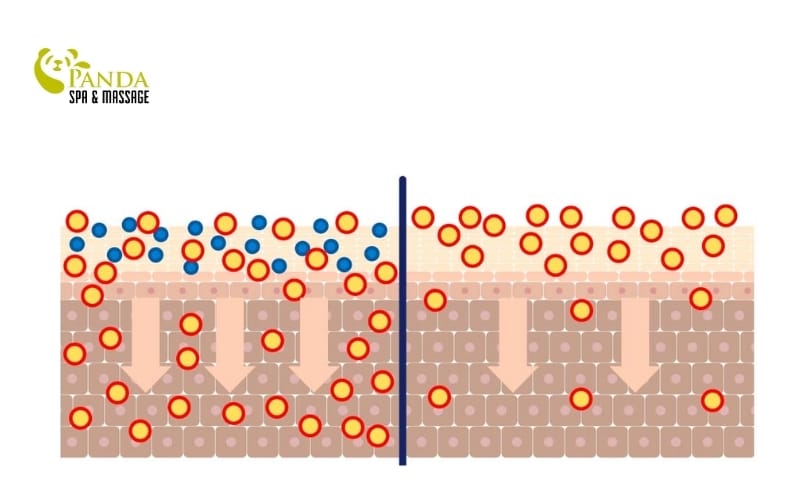 steps for facial skin care