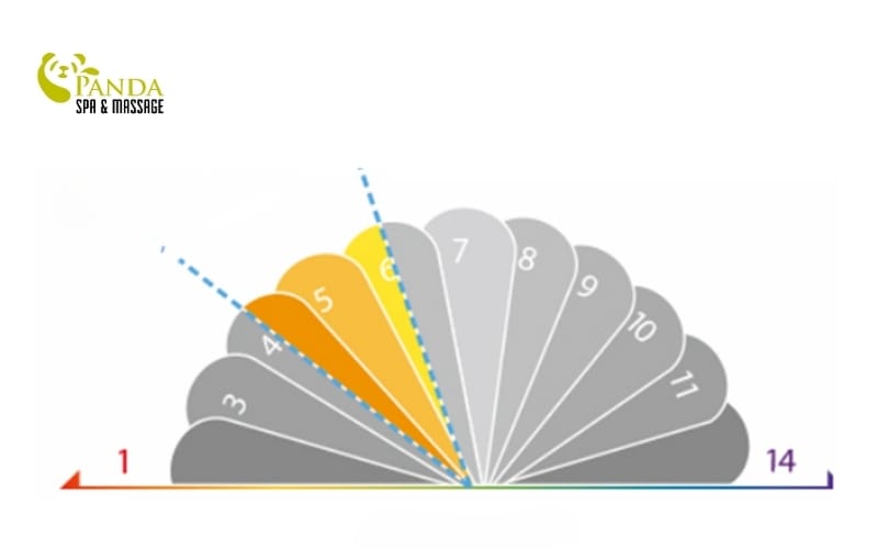 steps for facial skin care