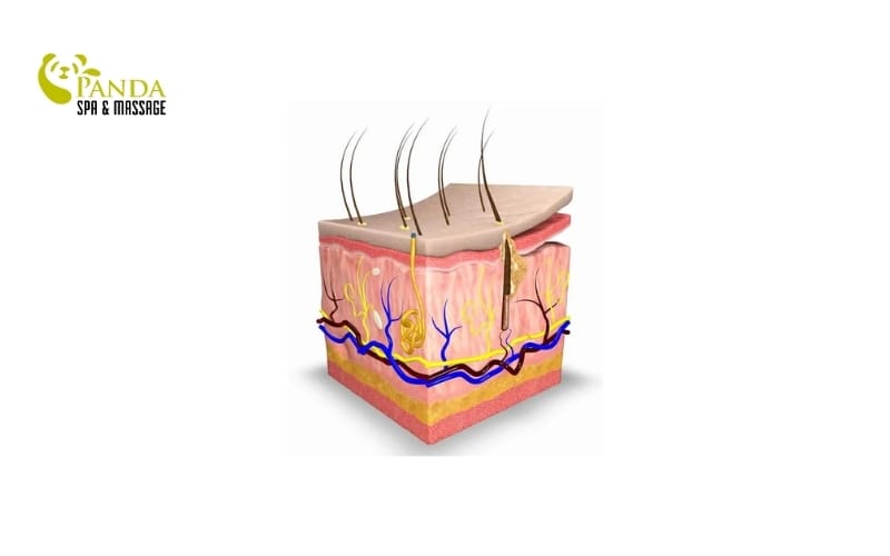 スキンケア化粧品