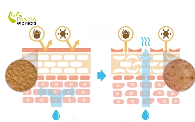 washing face correctly