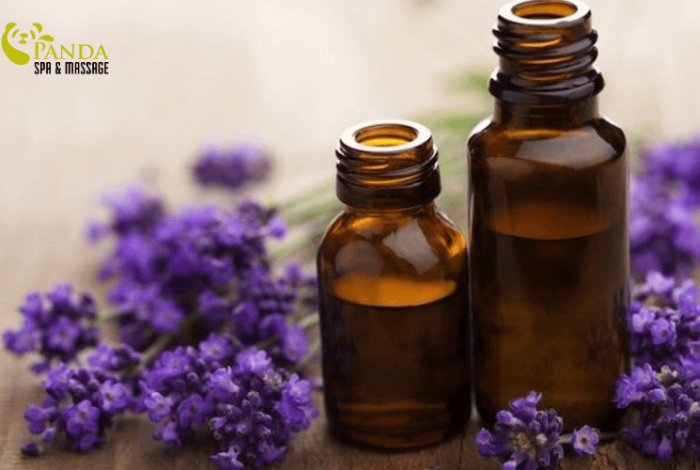 (Tiếng Việt) Top Tinh Dầu Massage Body Cho Nữ Thư Giãn Da Mịn 2026