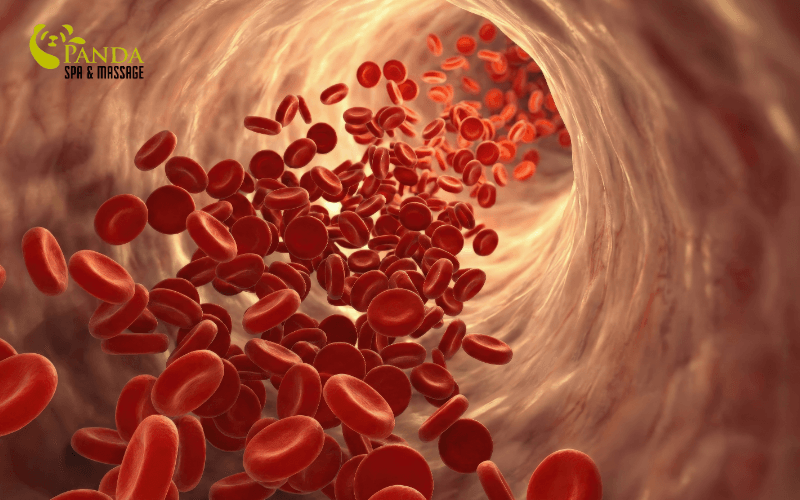 Massage Body Cho Nữ